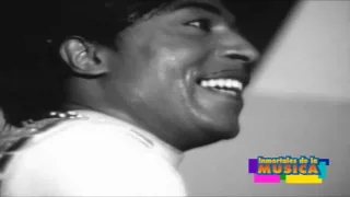 Little Richard Good Golly Miss Molly 1958