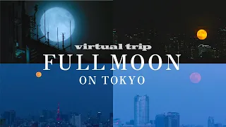 【満月】東京から見える十五夜の月🌕 / moon / tokyo / virtual trip