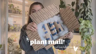 My Last Plant Mail of 2023! Unboxing Hoyas from SamsHoyas 📦🍃