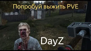 DAYZ | ПОПРОБУЙ ВЫЖИТЬ PVE | ВСТРЕЧА С ЛЫСЫМИ ИЗ ШАХОВКИ | АТМОСФЕРНОЕ ВЫЖИВАНИЕ В СОЛО!