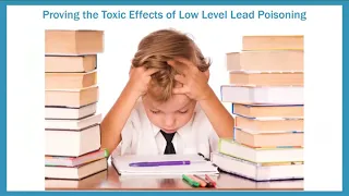 Lead Exposure and Impacts on Early Brain Development