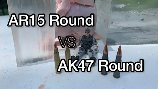 223 / 5.56 vs 7.62x39: Ballistics gel filled chickens!