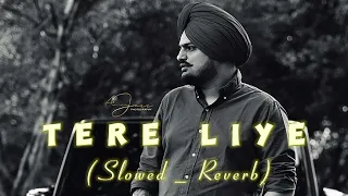 Tere Liye | (Slowed & Reverb) | Sidhu Moose Wala | latest punjabi song | WaSi editor❤