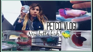 PETCO VLOG!! GETTING MY NEW BETTA FISH!