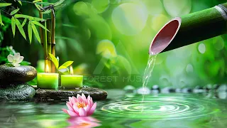 Beautiful Piano Music 🌿 Bamboo, Relaxing Music, Nature Sounds, Relieves Stress Music, Calming music