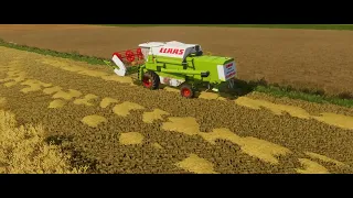 FS22 Cinematic-Wheat Harvest-[Dominator 106,Mtz 80 With HW80.11]