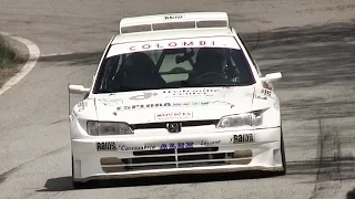 Peugeot 306 Maxi Rally Kit Car In Action with Great Sounds!!