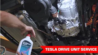 Tesla Drive Unit Service