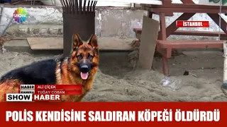 Polis kendisine saldıran köpeği öldürdü