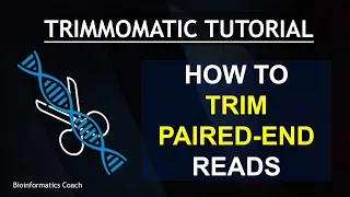Paired-End Read Trimming with Trimmomatic | Paired End Reads | Single Sample