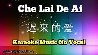 Che Lai De Ai 迟来的爱 karaoke no vocal