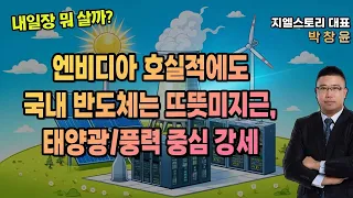 [내일장 뭐 살까?] 엔비디아 호실적에도 국내 반도체 섹터는 뜨뜻미지근, 태양광/풍력 등 신재생에너지 중심 강세 증시 | 박창윤 대표 | 주식 | 주가 | 투자 |