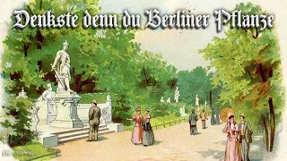 Denkste denn du Berliner Pflanze [Berlin song][+English translation]