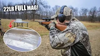 FULL Mag Dump From A 22LR... What's The Damage?!