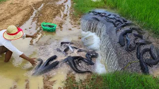 Great fishing in the wet season - lots of fish at the flooded roads