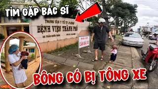 LIỆU BÔNG CÓ BỊ TÔNG XE - TRUY TÌM TUNG TÍCH VỀ BÔNG TẠI CÁC BỆNH VIỆN 😭 | CHÚ CHÓ ĐI HAI CHÂN