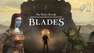 ELDER SCROLLS: BLADES | Nintendo Switch Gameplay Part 1