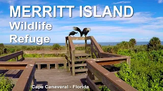 National Wildlife Refuge - Merritt Island (Florida)