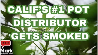 Up in Smoke: California’s Biggest Pot Distributor Collapses!