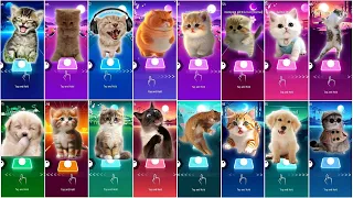 CUTE CATS VS CUTE DOGS MEGAMIX JISOO FLOWER CUPID SHAKIRA WAKA WAKA WEDNESDAY BARBIE BLACKPINK#cats