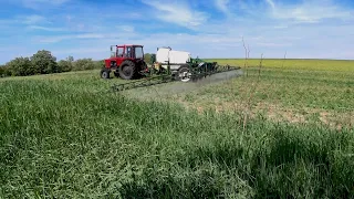 Зекономити і змити врожай в унітаз.