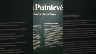 Jean Painlevé | Jeu de Paume #1