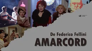 Boletín Fílmico - AMARCORD.