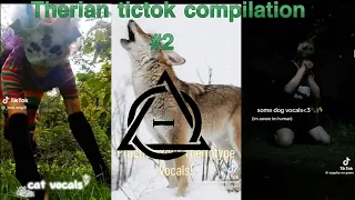 Therian tictok compilation #2 CREDITS TO ALL OF THE OWNERS AND THESE AREN’T MINE (mostly vocals)