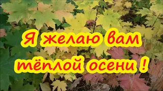 "Я желаю вам тёплой осени!"