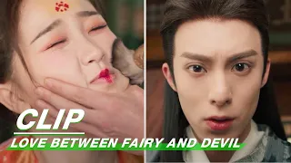 Dongfang Qingcang Helps Orchid Do An Ugly Makeup | Love Between Fairy and Devil EP23 | 苍兰诀 | iQIYI