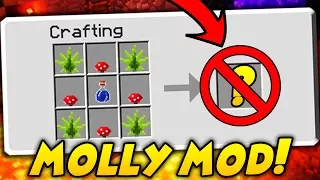 NAJBARDZIEJ NIELEGALNY MOD W MINECRAFT! - MOLLY MOD