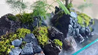 水槽の中の城跡【Terrarium of the castle ruins】