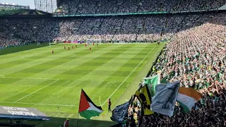 CELTIC FANS | THE CELTIC | LUIS PALMA GOAL/CELEBRATIONS