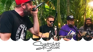 Fortunate Youth -  Left My Love in California  (Live Music) | Sugarshack Sessions