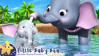 Elephant Family Having a Wash!! | Little Baby Bum Animal Club | Fun Songs for Kids