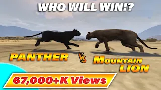 GTA 5 - PANTHER VS MOUNTAIN LION