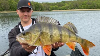 Anglertraum! Geheimen Waldsee mit Monsterbarschen entdeckt (ICH RASTE AUS!)