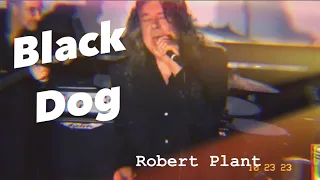 Robert Plant performs Black Dog at benefit concert 2023