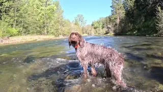 Euro Nymphing the Yakima River