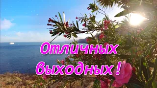 Отличных выходных, солнечного настроения!☀ / Красивая музыкальная открытка с пожеланием