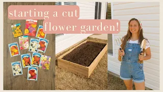 BEGINNER CUT FLOWER GARDEN 🌸🌼 zinnias, cosmos, daisies, & wildflowers in zone 8a!