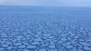 Southern Ocean waves in the Marginal Ice Zone