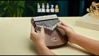 cega 21keys walnut kalimba