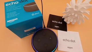 Alexa e Amazon Music Unlimited con Echo Dot