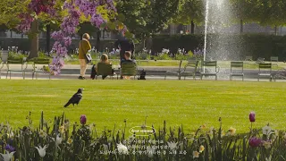 𝐏𝐥𝐚𝐲𝐥𝐢𝐬𝐭 파리에서 오늘 날이 좋네요. 봄이 오나 봄🌸🌼🌷