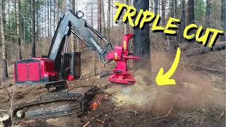 TimberPro TL775D - Triple Cutting Monster Timber