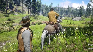 RDR2 - That's why you need maximum horse bonding