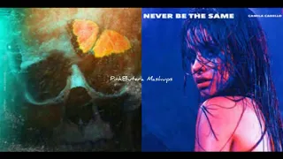 "Never Be Without Me" Without Me vs. Never Be The Same (Mashup!)