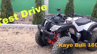 ATV Kayo Bull 180 | TEST DRIVE 😱