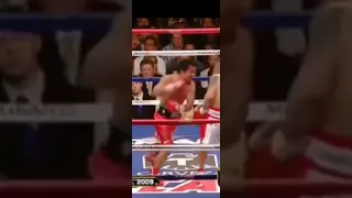 pacquiao vs cotto